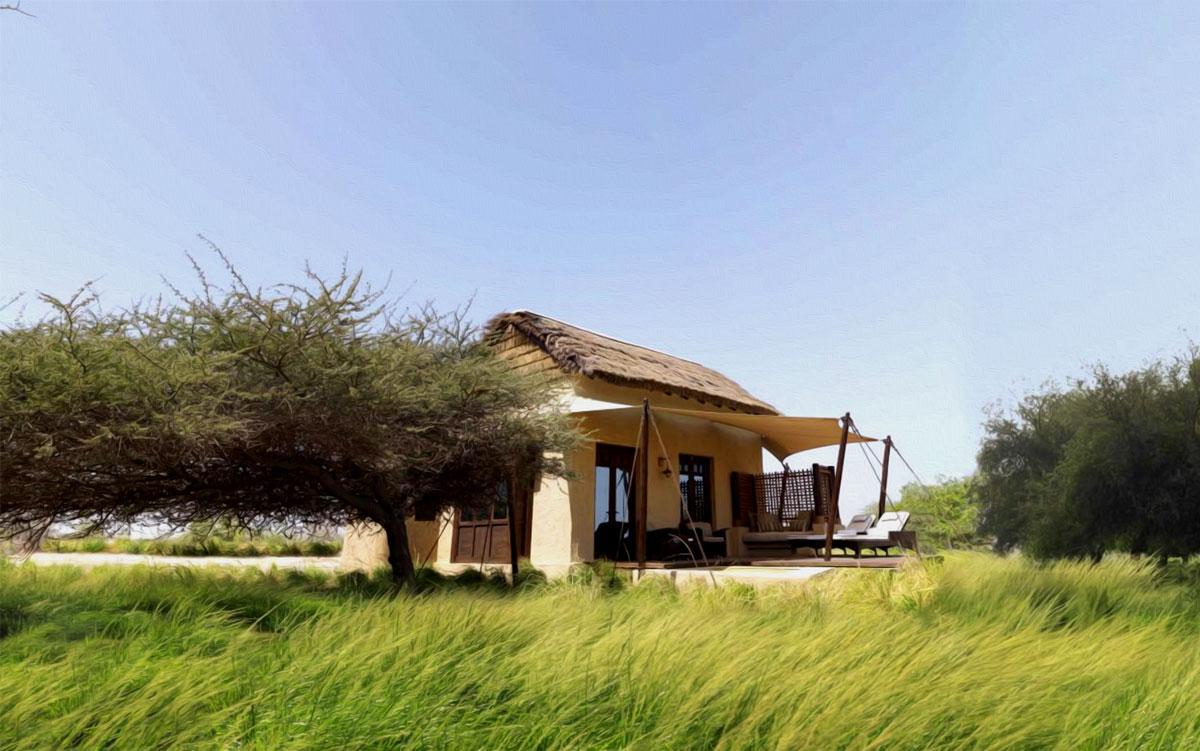 SIR BANI YAS ISLAND